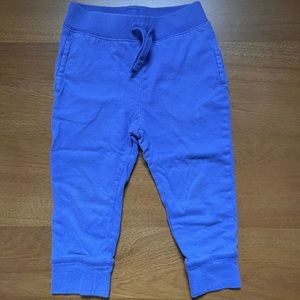 GAP Toddler Jogger Purple